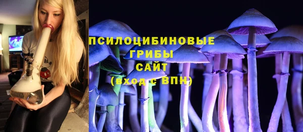 Альфа ПВП Аша