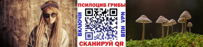 Псилоцибиновые грибы мухоморы  купить закладку  Чита 